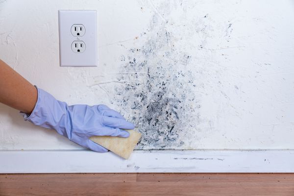 Closeup of someone scrubbing mold off of a wall