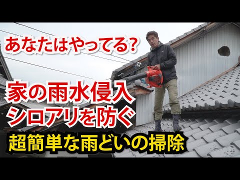雨水槽で作るDIYハーブガーデン！5ステップで初心者でも簡単に始める方法