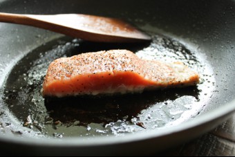 Salmon