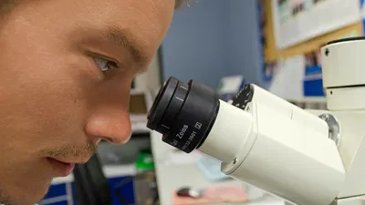 6 Great Projects to Use Your Computer to Advance Scientific Ventures