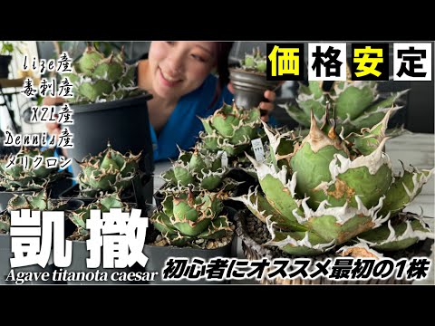 カエサルにちなんだ植物5選！あなたはいくつ知ってる？