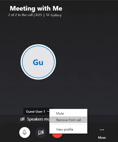 Skype Meet Now Remove From Call