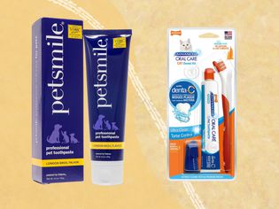 Cat toothpaste we recommend on an orange background