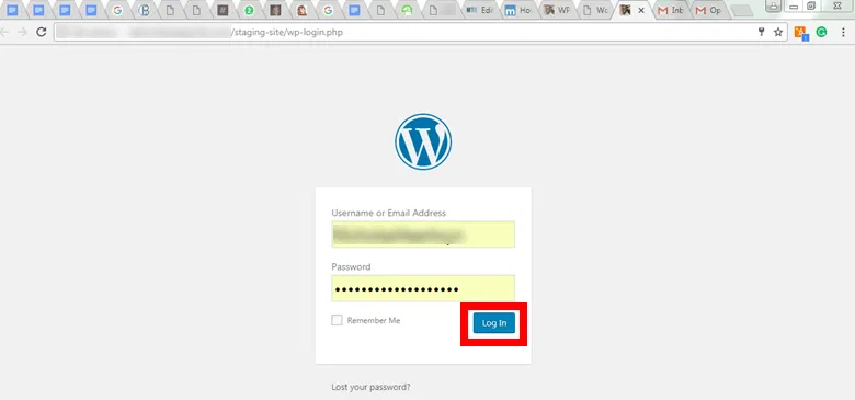 staging-site-for-wordpress-plugin-10 staging-site-for-wordpress-plugin-10