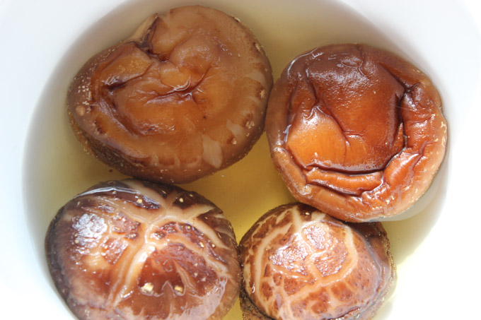 Shiitake mushroom 