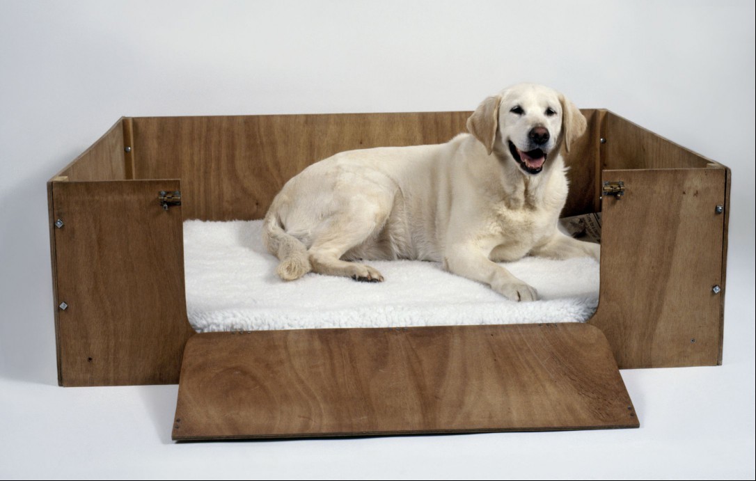 Dog in whelping box