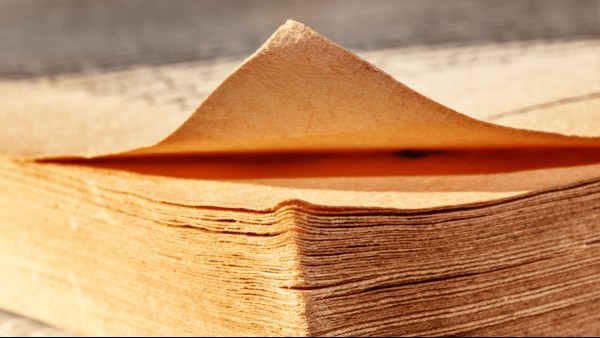 The Origin Of Languages: The Tower Of Babel And Other Stories