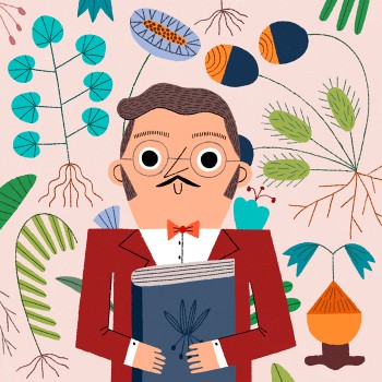 voynich manuscript lost languages