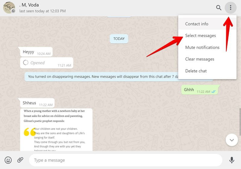 Whatsapp Web Select Multiple Messages