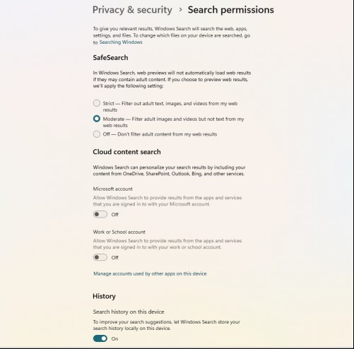 Windows 11 search permissions