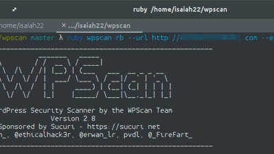 How to Audit WordPress Security from the Command Line with WpScan