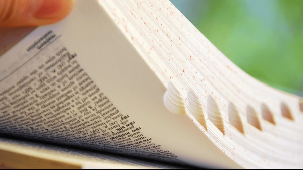 Around The World In 2023 Words Of The Year
