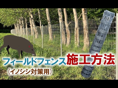菜園を動物から守る！最適なフェンス選びと設置のコツ