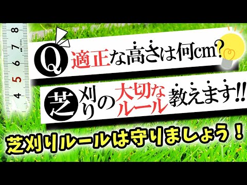 芝生にストライプ模様を入れる方法——プロが教える3つのコツと注意点