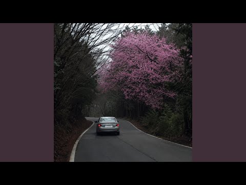 ピンクの花が咲く木の選び方と育て方【初心者向け実践ガイド】