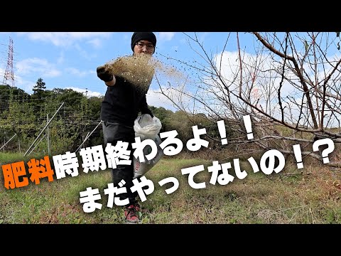 春の施肥はいつから？失敗しないためのたった5つのポイント
