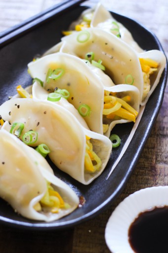 zucchini-potstickers-feature