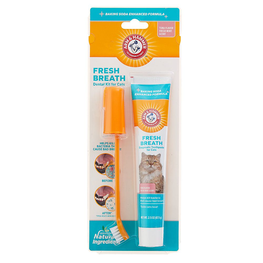 arm and hammer dental kit for cats
