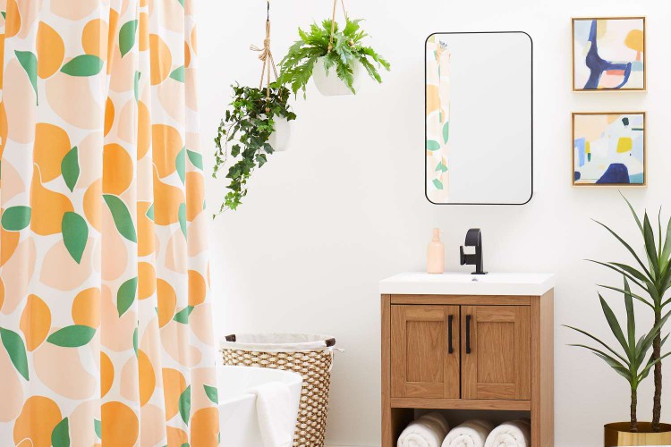 Bathroom with gallery wall, mirrored medicine cabinet, and hanging plants