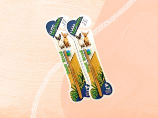 Cat toothbrushes we recommend on a multicolored background