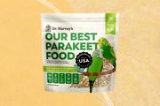 Parakeet food we recommend on an orange background