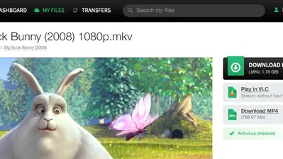 Easily Download Torrents to the Cloud with Bitport