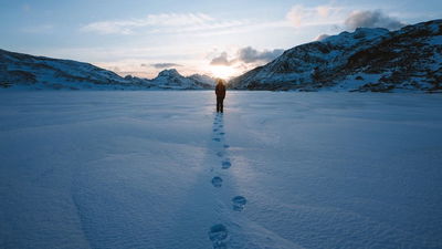 How to See Who’s Tracking You Online (and Stop It)