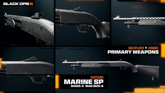 The Marine SP is one of the best weapons in Black Ops 6, photos taken from different angles.