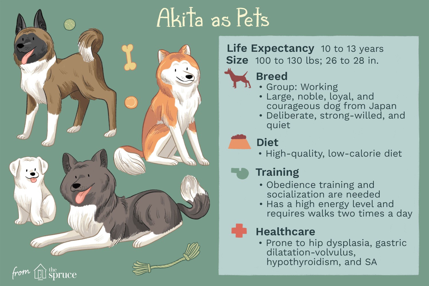 Akita as Pets