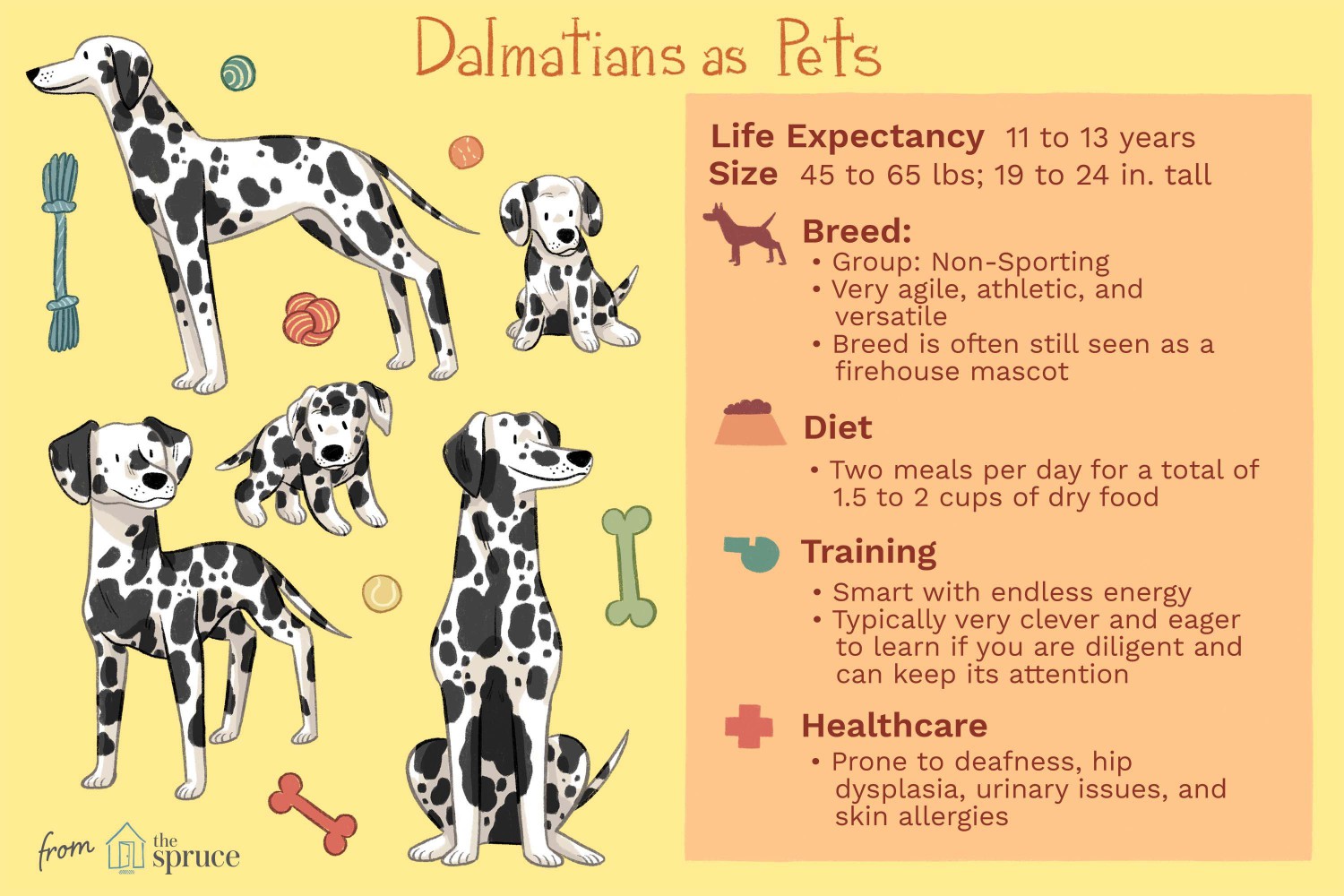 Dalamatians as Pets