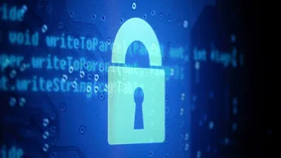 The Showdown Between Bug Bounty Programs and Penetration Testing