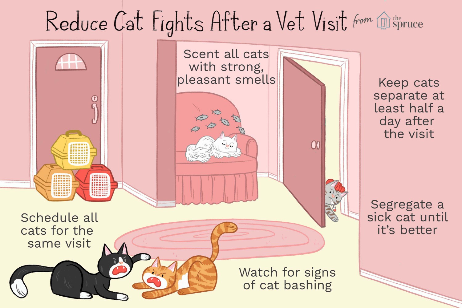 Reduce Cat Fights After a Vet Visit