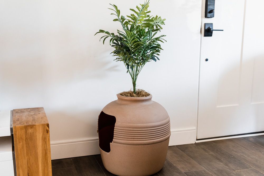 litter box by a door