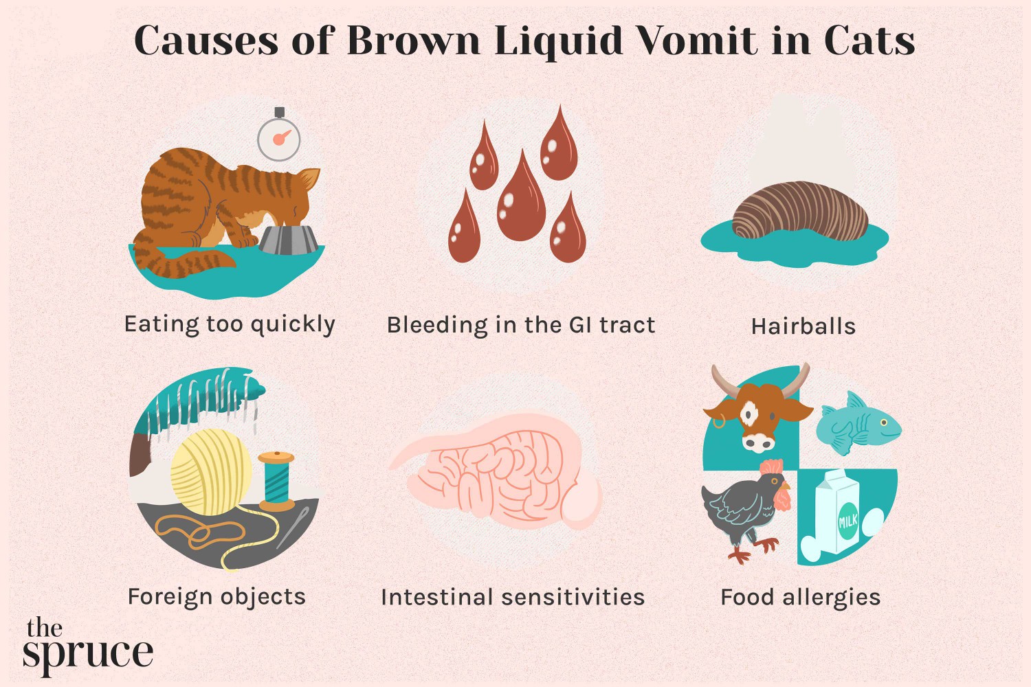 Causes of Brown Liquid Vomit in Cats