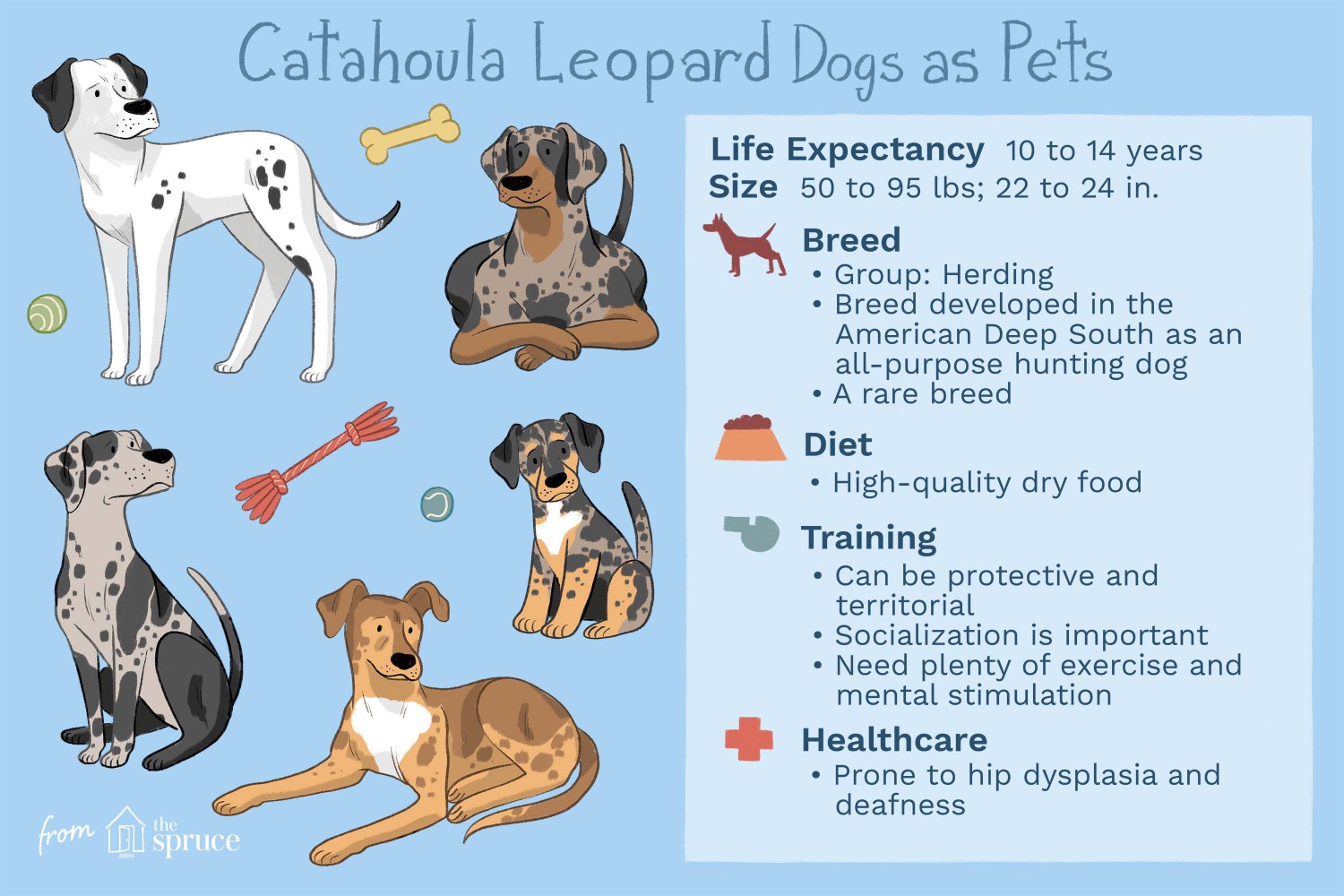 Catahoula Leopard Dogs as Pets