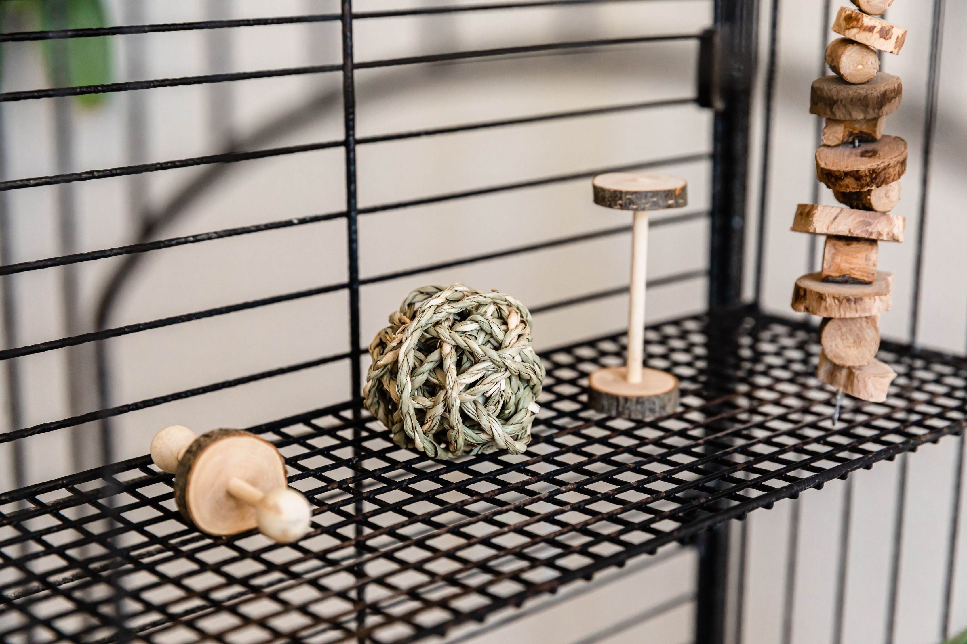 Chinchilla toys sitting on wire perch inside cage