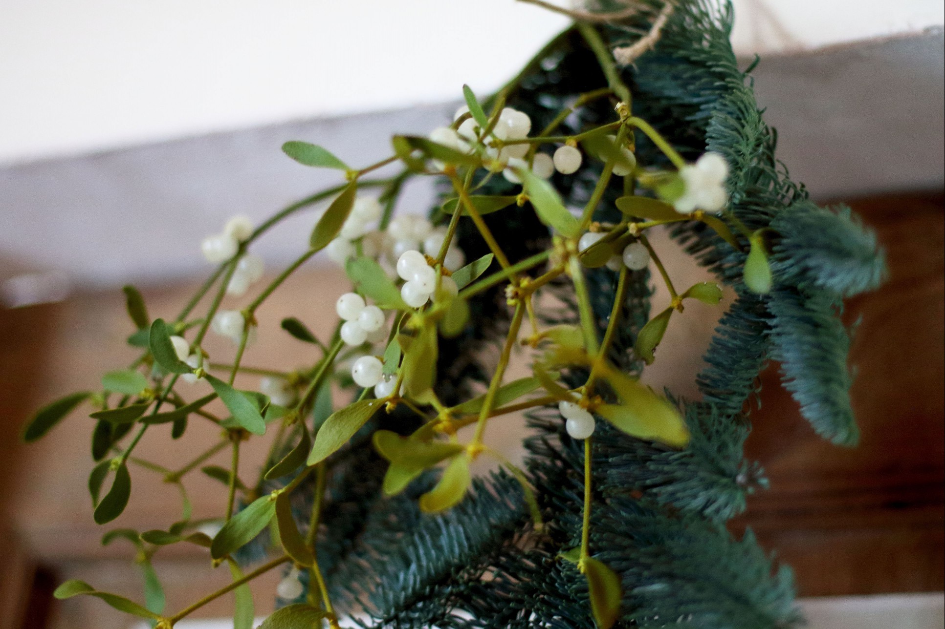 Mistletoe hanging on a wall