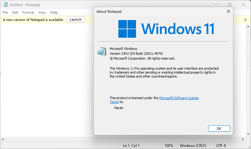 Classic Windows 11 Notepad application
