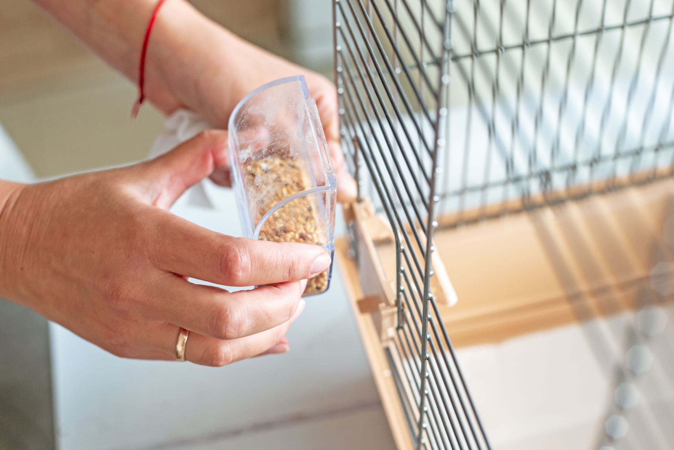New food tray inserted to bird cage