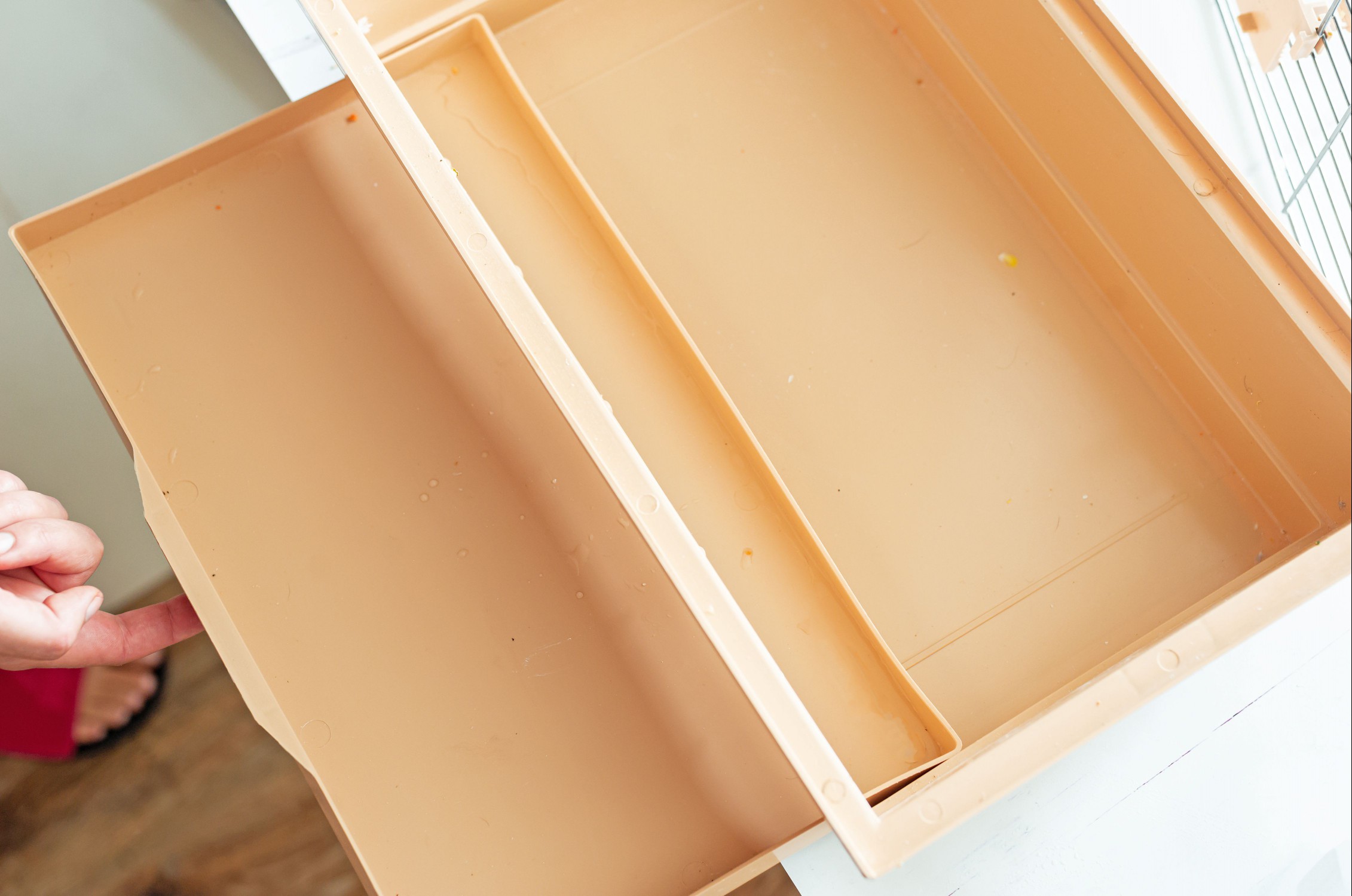 Clean cage tray inserted into bottom of cage