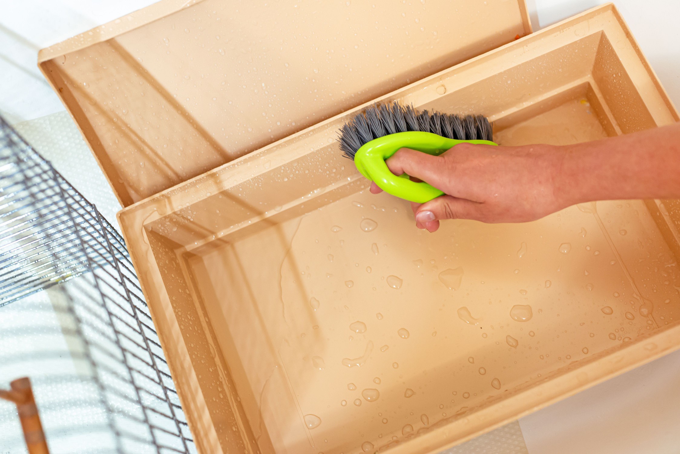 Sturdy scrub brush cleaning inside of bird cage 