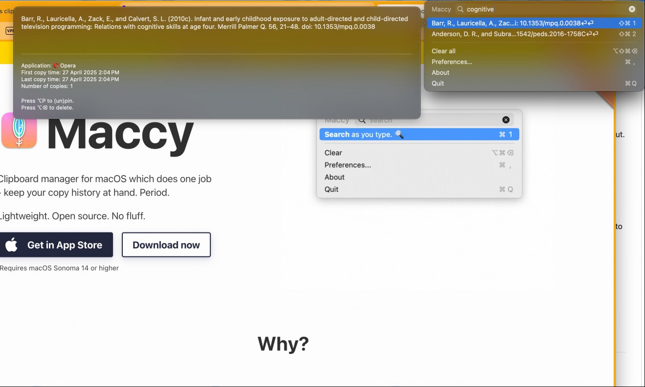 Details of copied items in the Maccy clipboard app for macOS.
