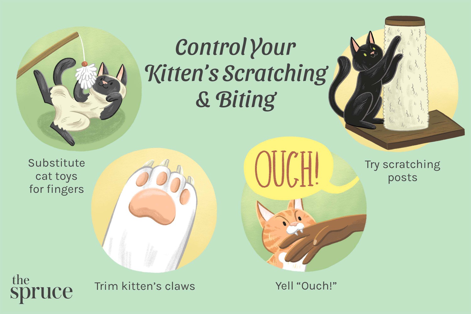 Control Your Kittens Scratching and Biting