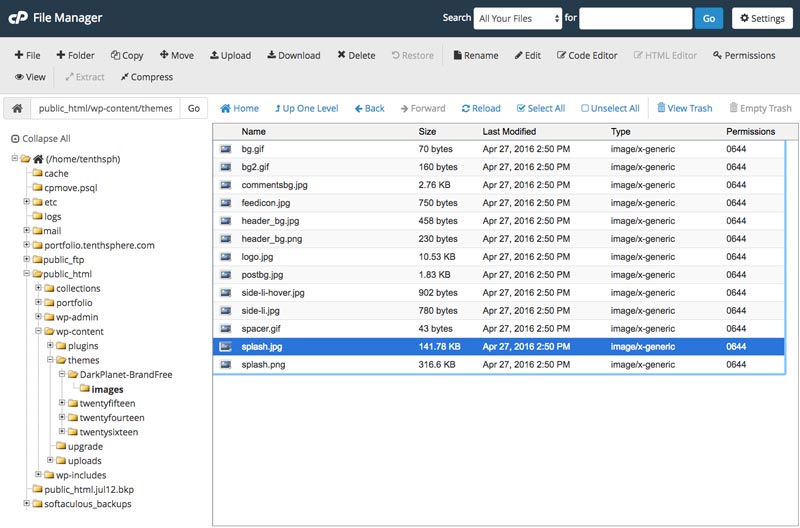 CPanel's 'File Manager' allows you to access a WordPress theme's component file.