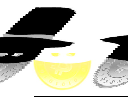 zorro