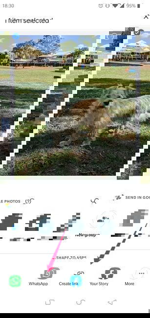 Disable Link Sharing Google Photos Android Create Link