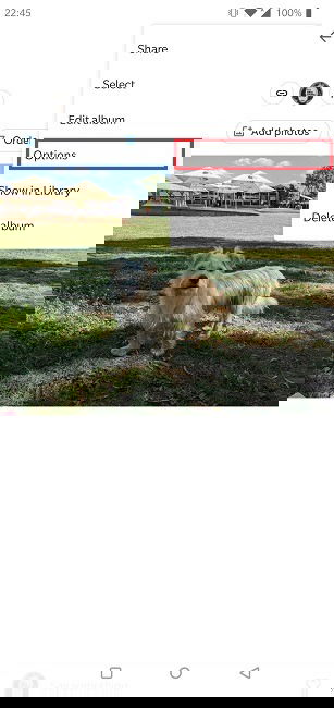 Disable Link Sharing Google Photos Android Options Delete Link Single Image