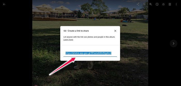 Disable Link Sharing Google Photos Web Copy Link Share