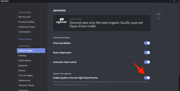 Discord Audio Video Packets Settings