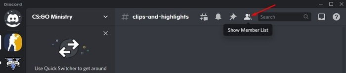 Discord Show Member List